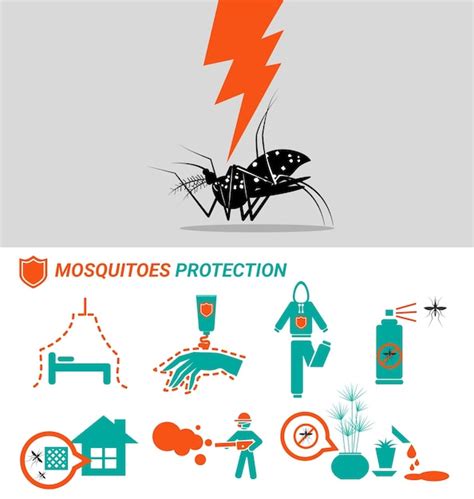 schutz vor dengue fieber